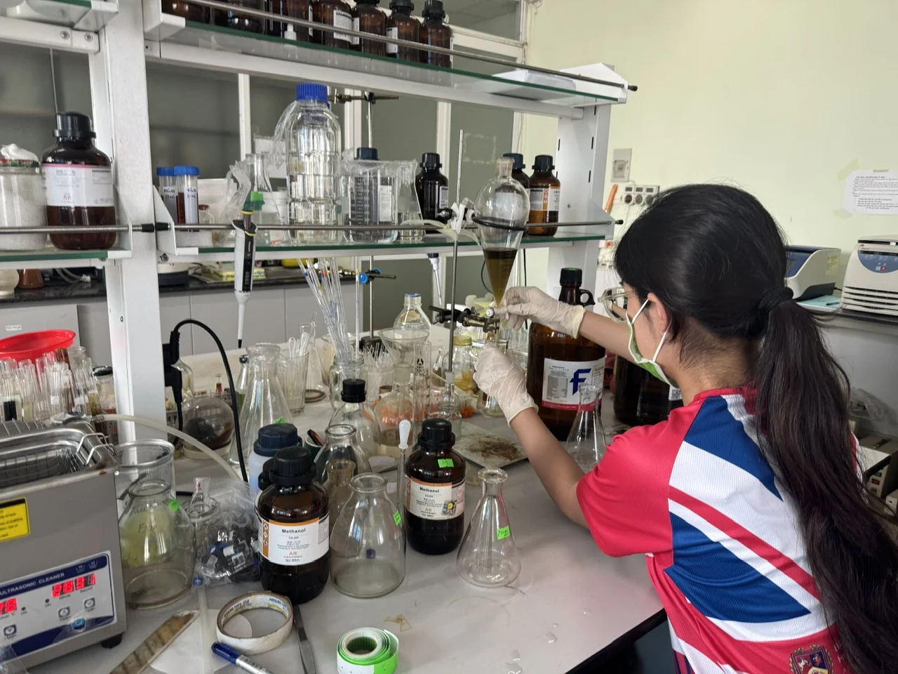 Developmental-Stage-Dependent Changes in Basil Essential Oil Composition: Implications for NO Inhibitory Activity, Estragole Exposure, and Compositional Symmetry image 8