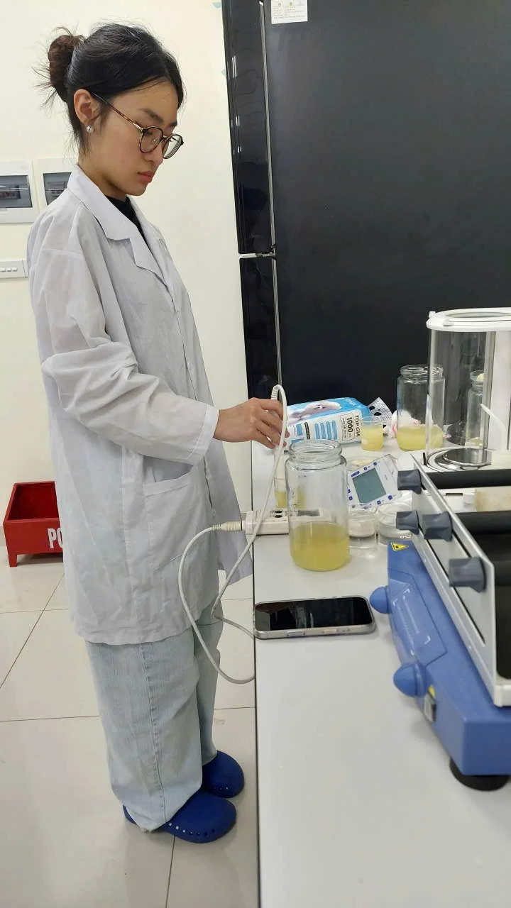 Predictive Modelling and Experimental Validation of Bacterial Cellulose Production in SCOBY Cultures under Variable Sucrose Concentrations and Culture Surface Areas image 1
