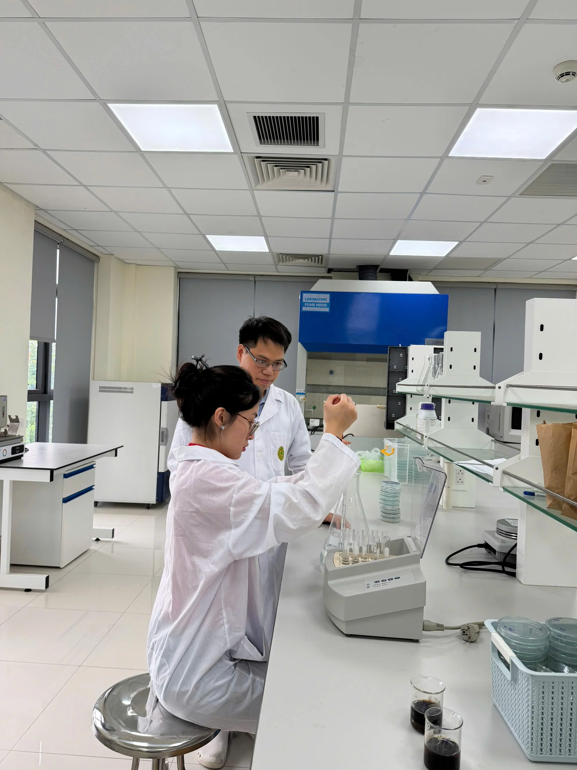 Predictive Modelling and Experimental Validation of Bacterial Cellulose Production in SCOBY Cultures under Variable Sucrose Concentrations and Culture Surface Areas image 11