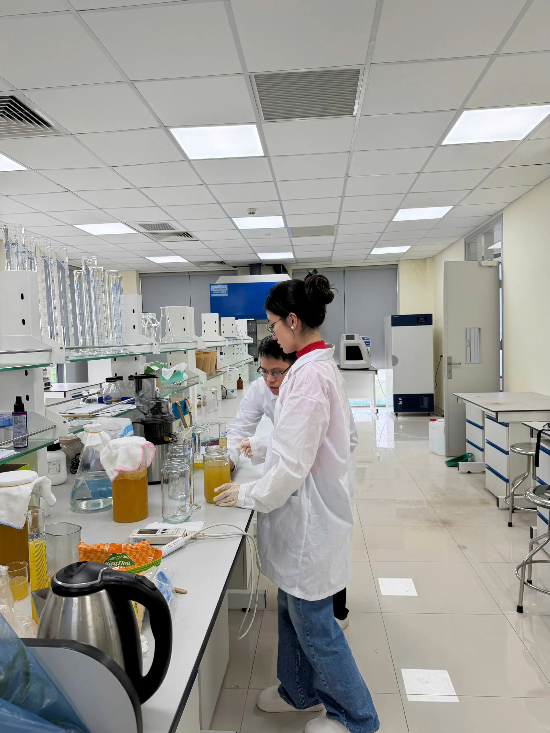 Predictive Modelling and Experimental Validation of Bacterial Cellulose Production in SCOBY Cultures under Variable Sucrose Concentrations and Culture Surface Areas image 12