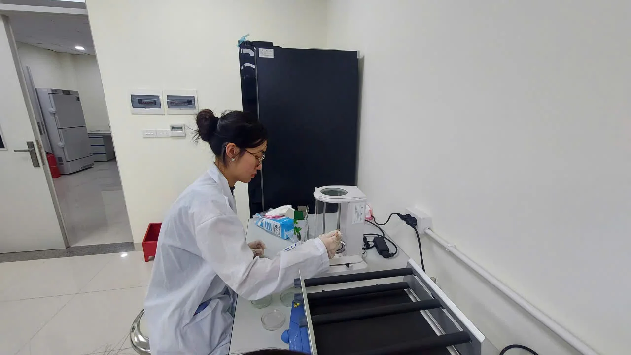 Predictive Modelling and Experimental Validation of Bacterial Cellulose Production in SCOBY Cultures under Variable Sucrose Concentrations and Culture Surface Areas image 13