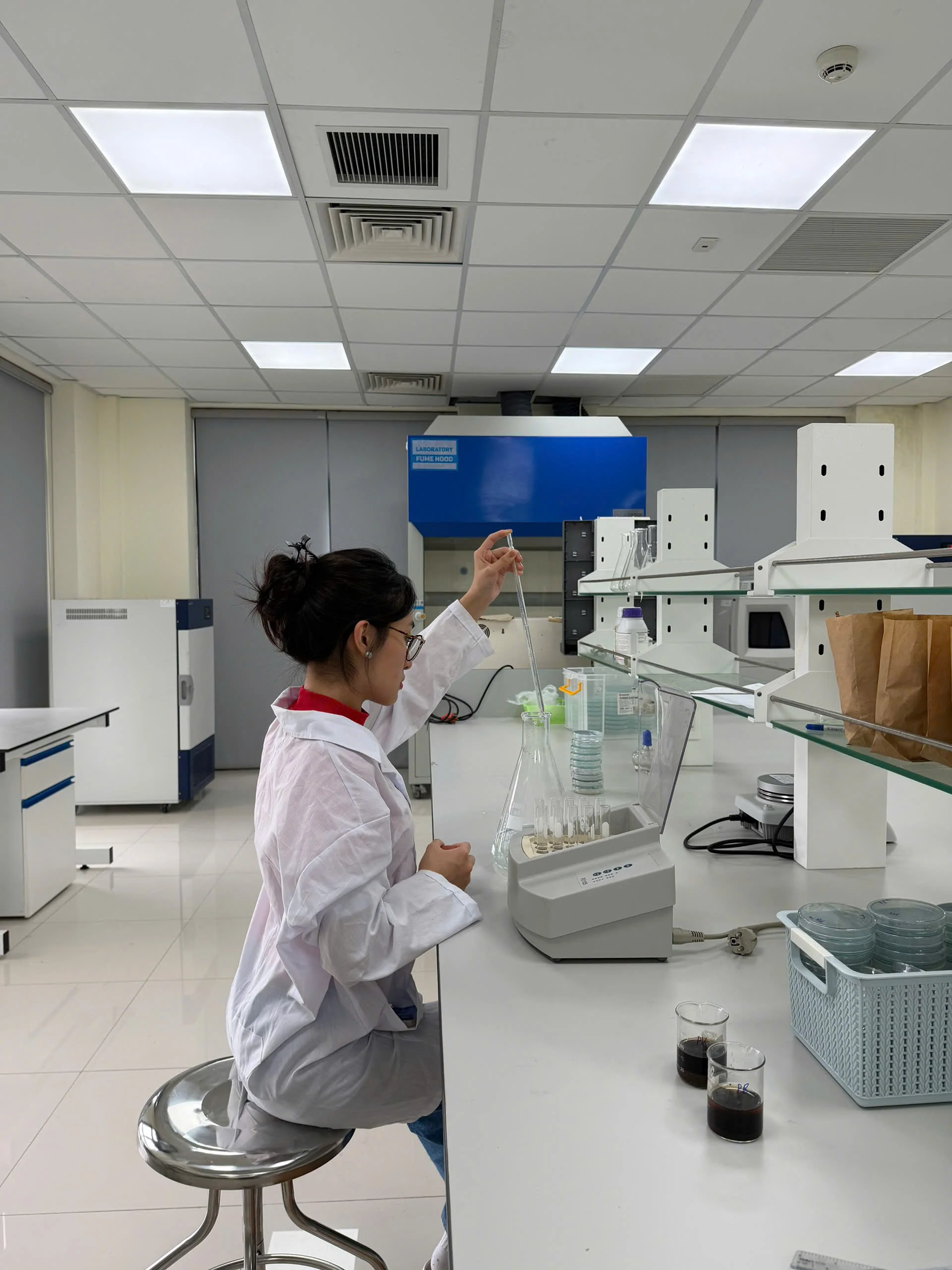 Predictive Modelling and Experimental Validation of Bacterial Cellulose Production in SCOBY Cultures under Variable Sucrose Concentrations and Culture Surface Areas image 2