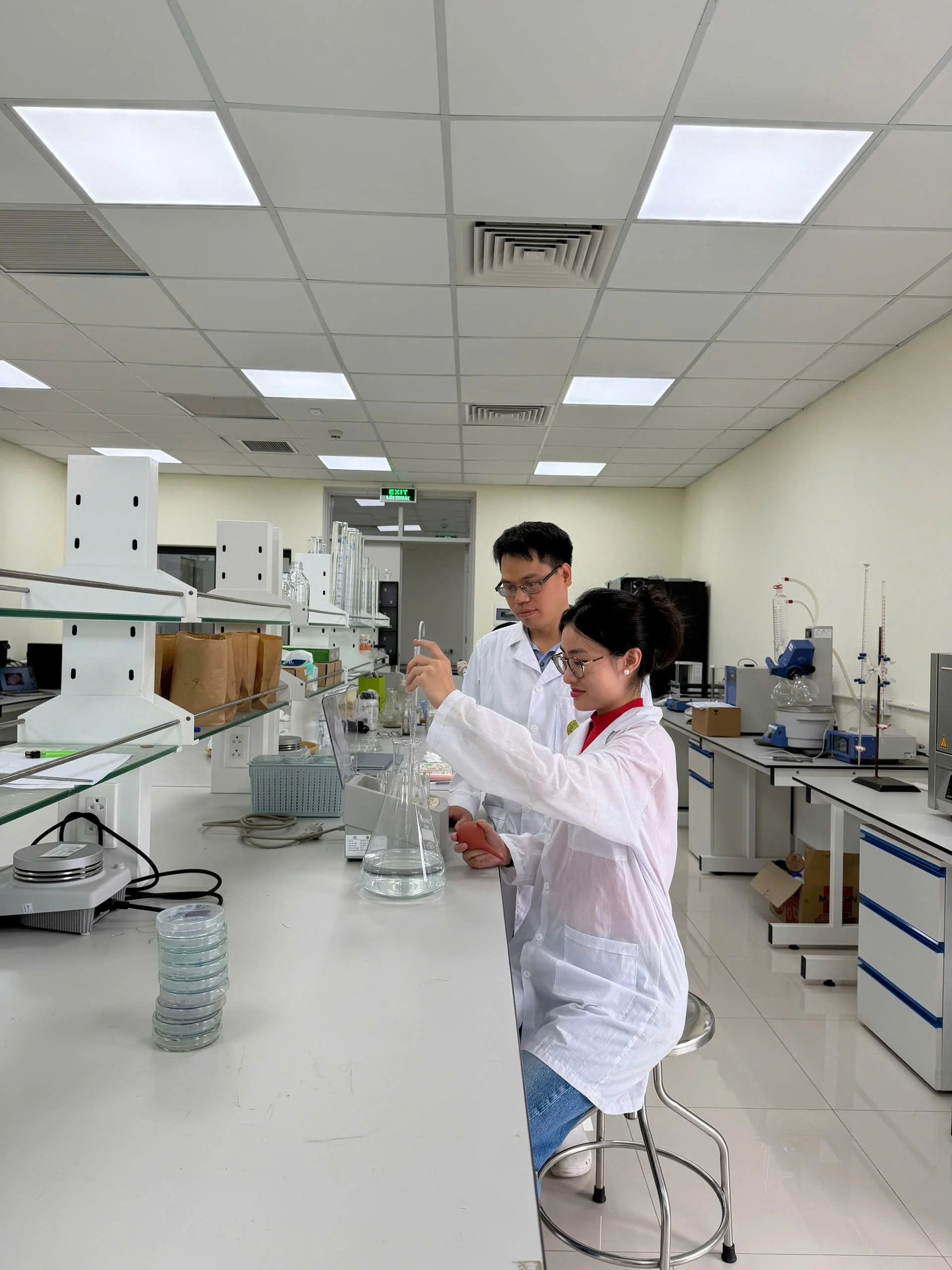 Predictive Modelling and Experimental Validation of Bacterial Cellulose Production in SCOBY Cultures under Variable Sucrose Concentrations and Culture Surface Areas image 4