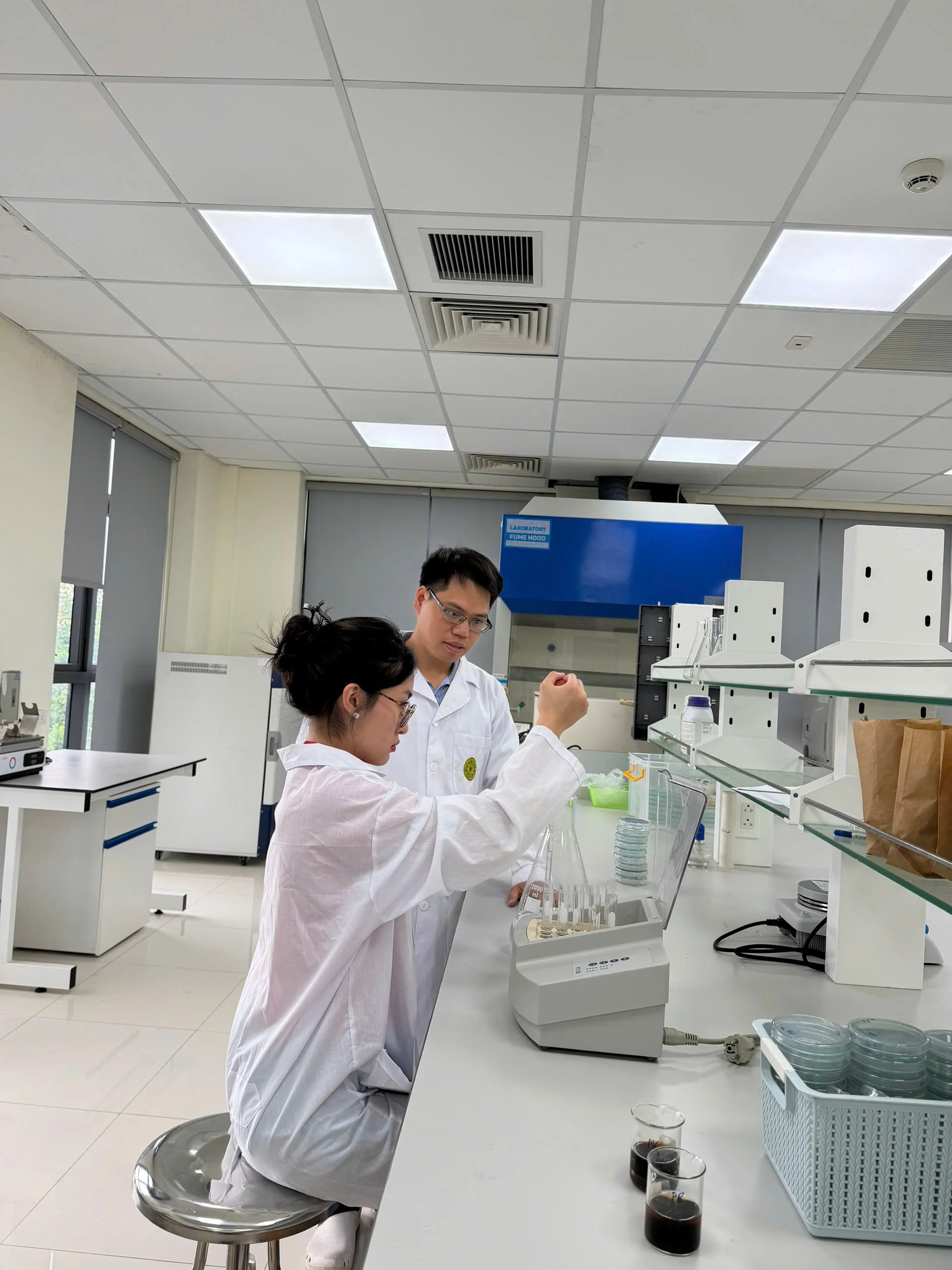 Predictive Modelling and Experimental Validation of Bacterial Cellulose Production in SCOBY Cultures under Variable Sucrose Concentrations and Culture Surface Areas image 8